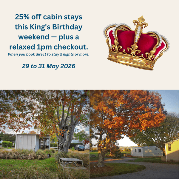 Square tile advertising a King's birthday cabin discount of 25% for stays of two nights or more with a bonus late checkout 29 to 31 May 2026. 