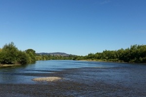 The Ruamahanga River near Martinborough